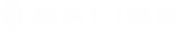 Balise